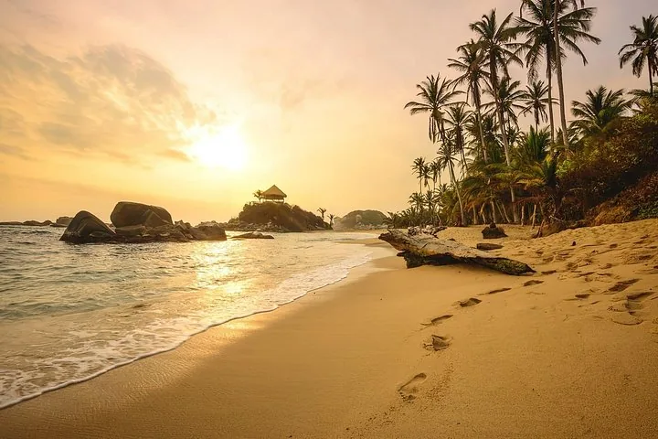 Goldener Sonnenuntergang an einem tropischen Strand mit Palmen und Fußspuren.